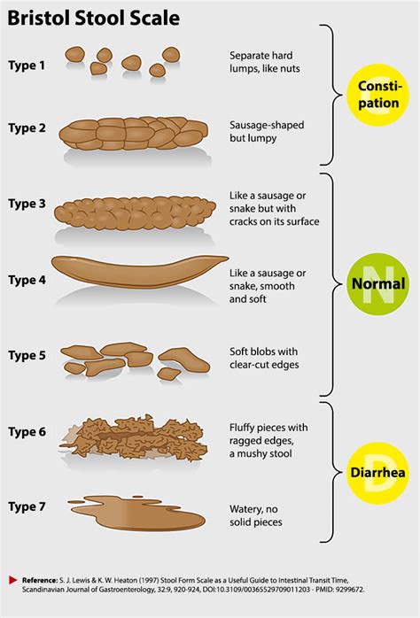 rate my poop|Bristol Stool Chart: Types of Poop